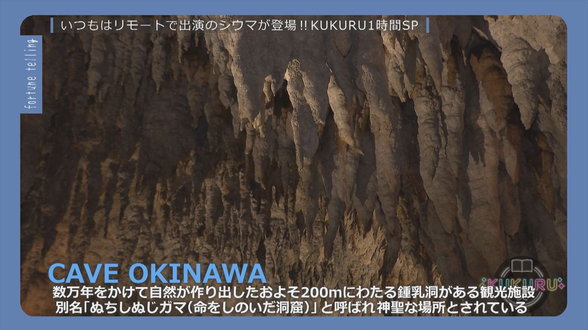 ウィンウィン　2025年12月23日放送