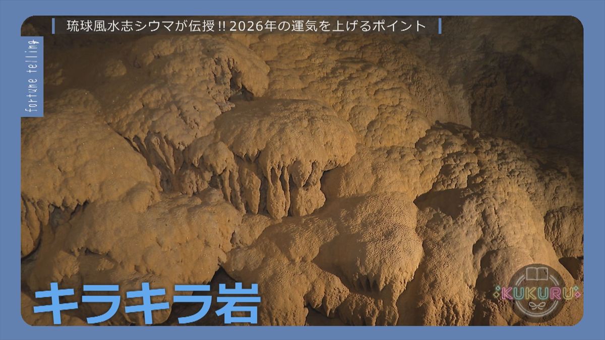 ウィンウィン　2025年12月23日放送