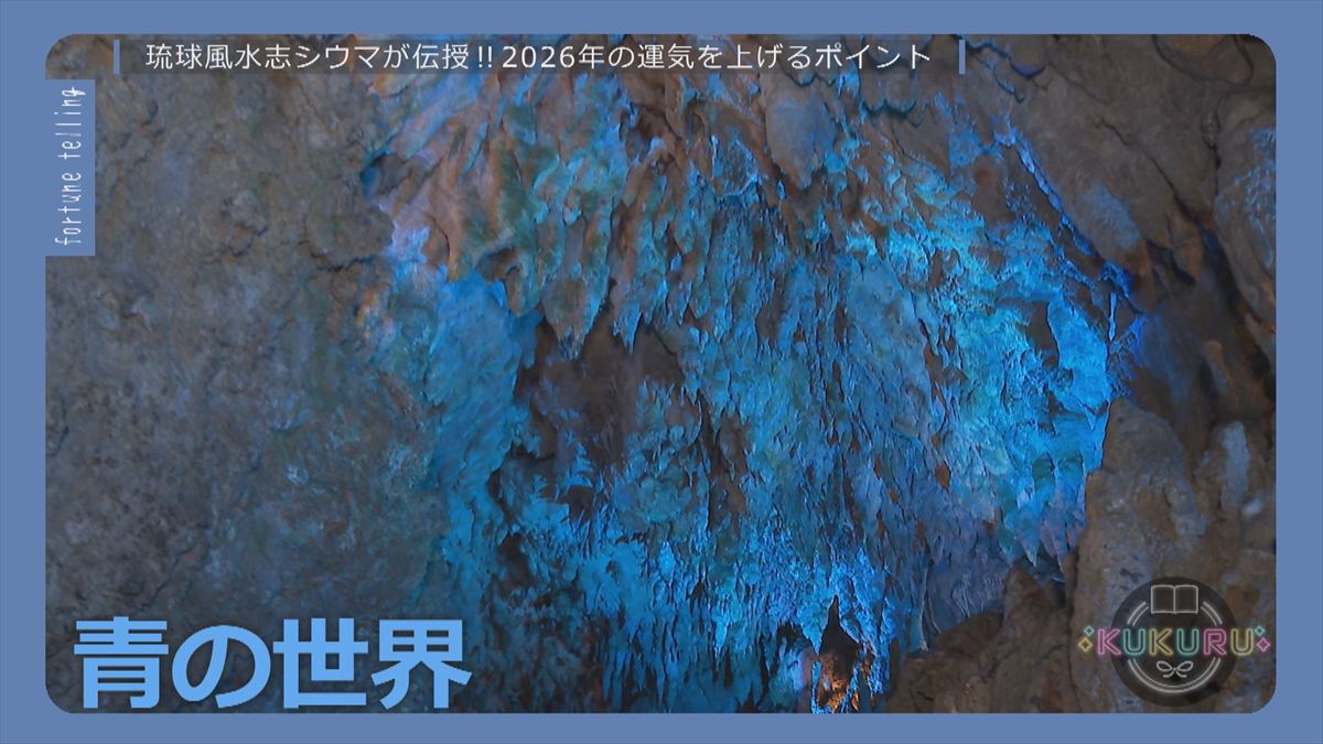 ウィンウィン　2025年12月23日放送