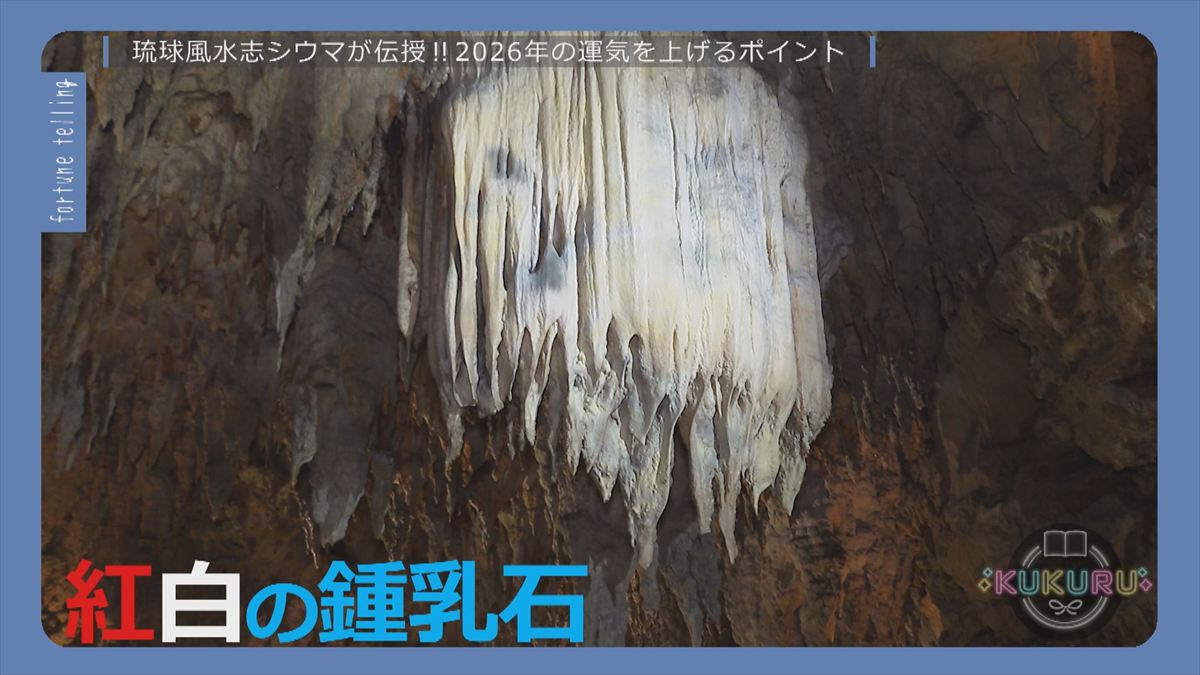 ウィンウィン　2025年12月23日放送