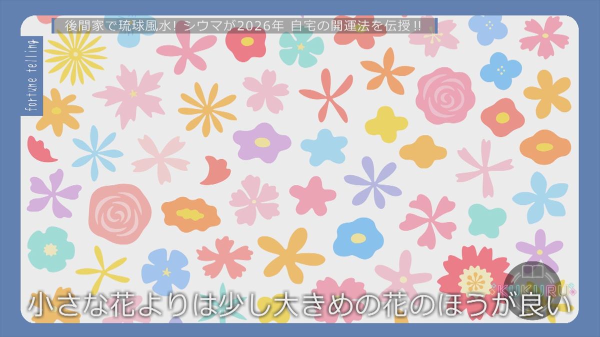 ウィンウィン　2025年12月23日放送