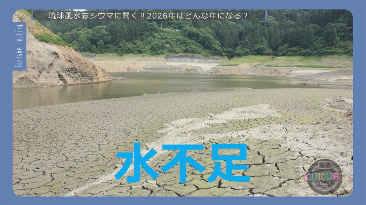 ウィンウィン　2025年12月23日放送