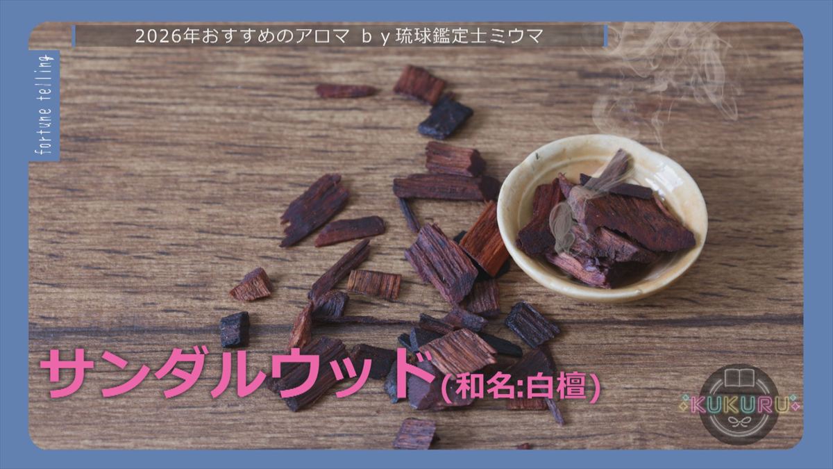 ウィンウィン　2025年12月23日放送