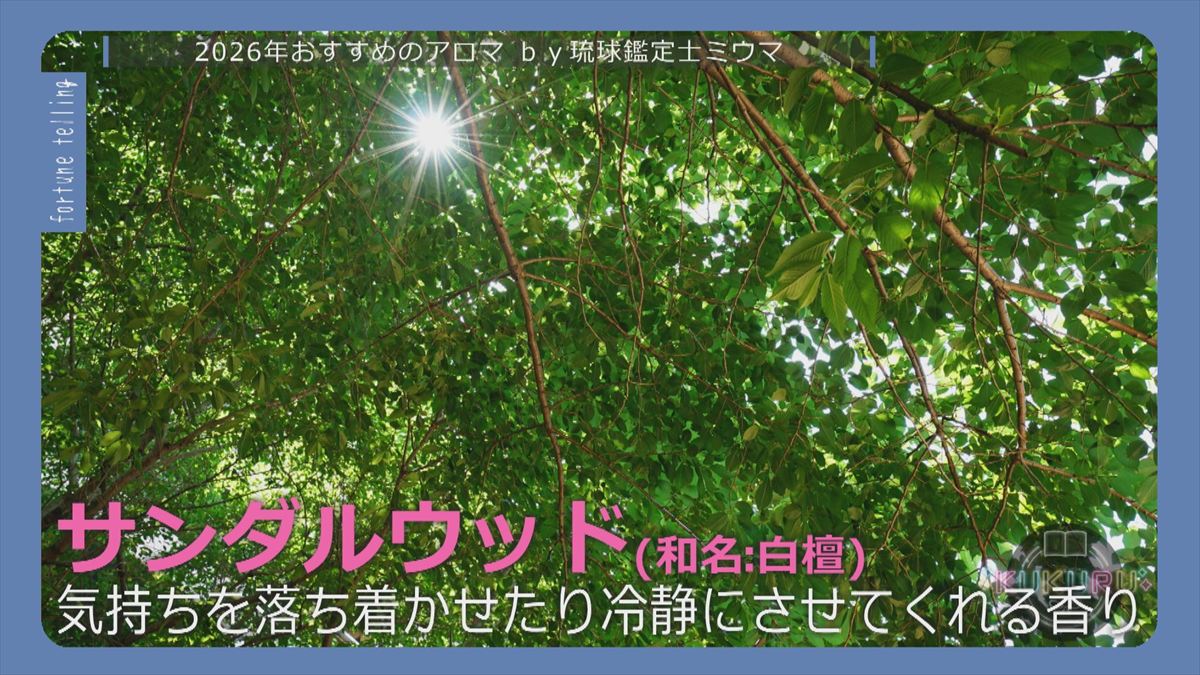 ウィンウィン　2025年12月23日放送