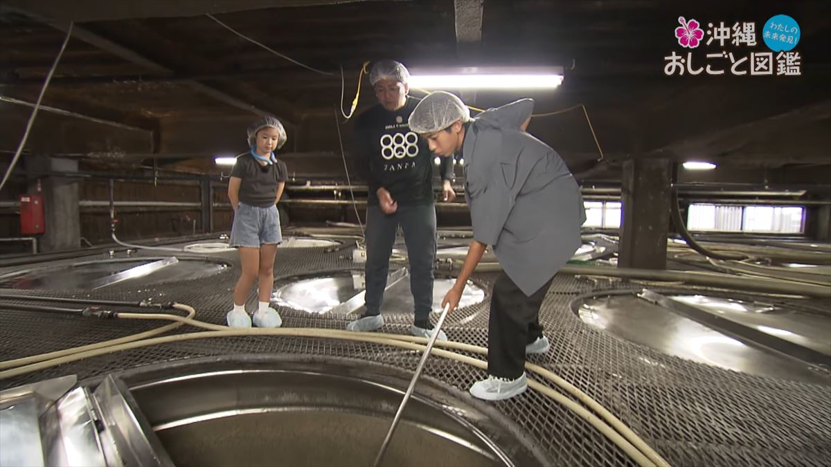 沖縄の伝統を守り続ける泡盛づくり - 比嘉酒造のおしごとに迫る【沖縄おしごと図鑑】