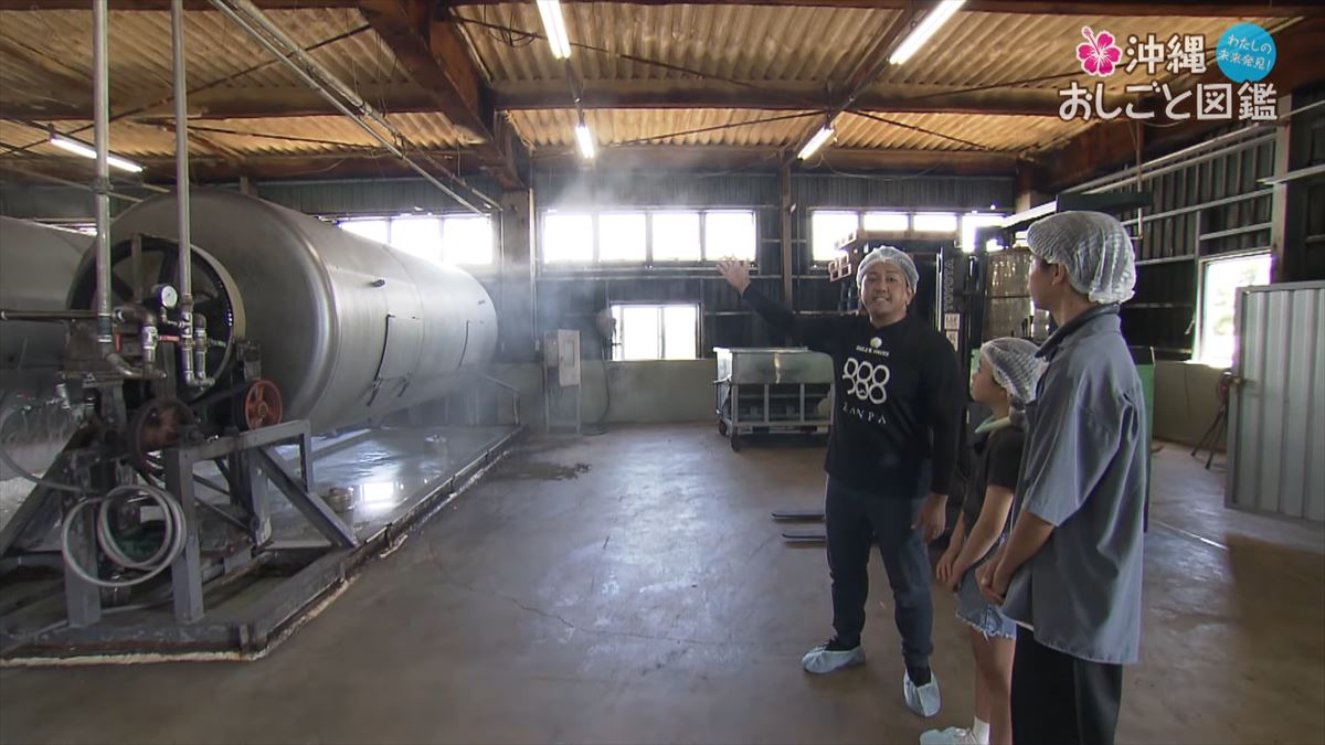 沖縄の伝統を守り続ける泡盛づくり - 比嘉酒造のおしごとに迫る【沖縄おしごと図鑑】