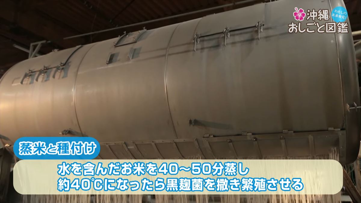 沖縄の伝統を守り続ける泡盛づくり - 比嘉酒造のおしごとに迫る【沖縄おしごと図鑑】