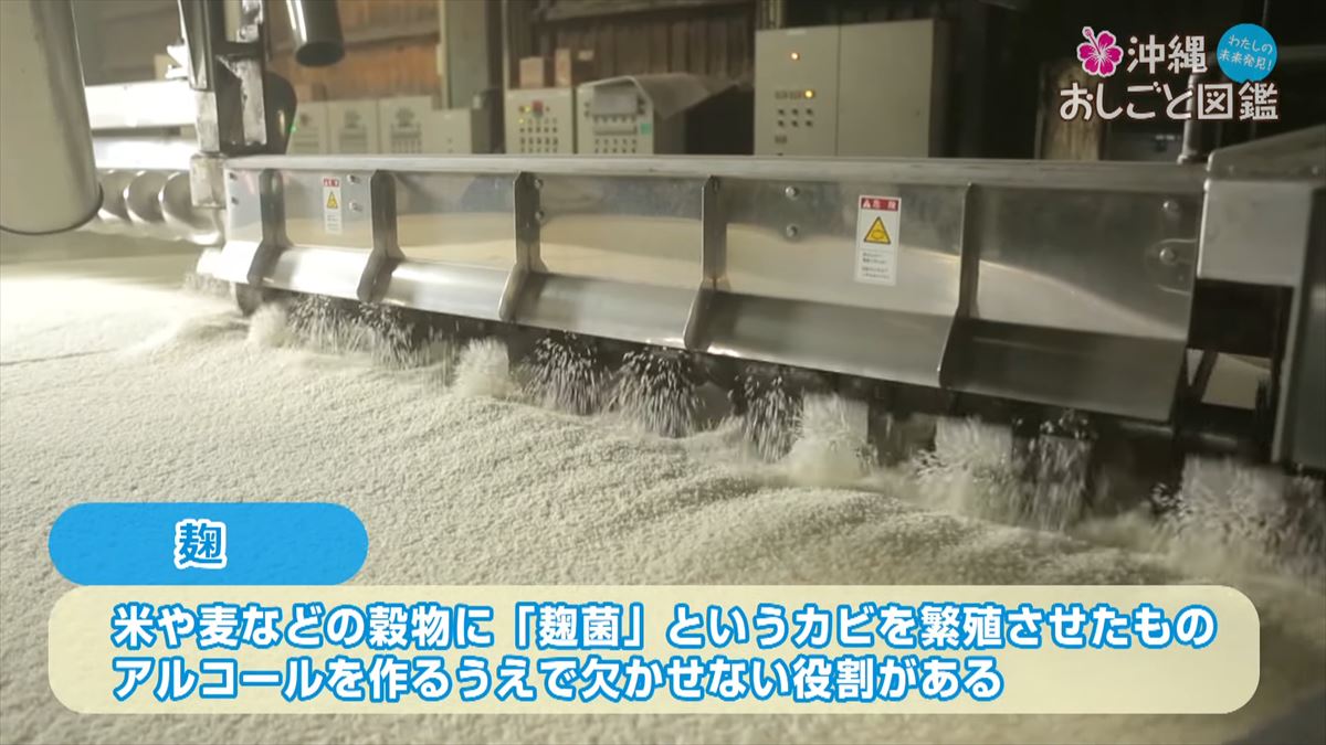 沖縄の伝統を守り続ける泡盛づくり - 比嘉酒造のおしごとに迫る【沖縄おしごと図鑑】
