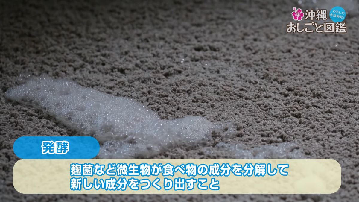 沖縄の伝統を守り続ける泡盛づくり - 比嘉酒造のおしごとに迫る【沖縄おしごと図鑑】