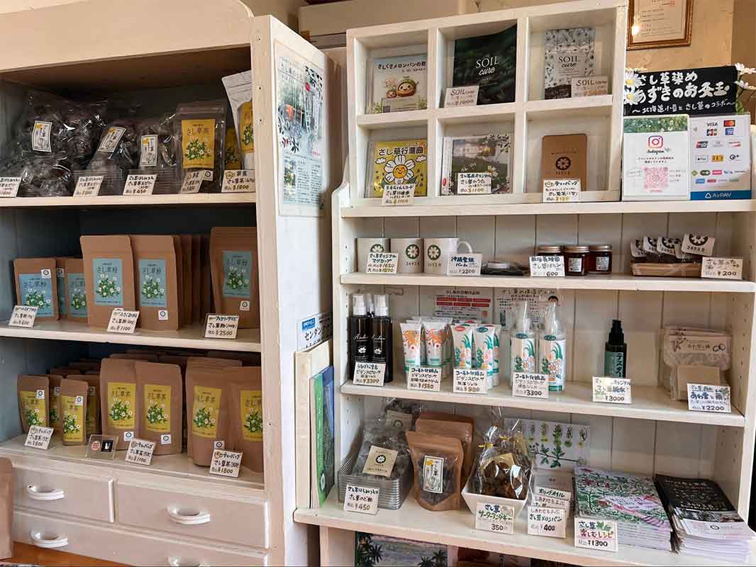 南城市で見つけた、体が喜ぶごはん。沖縄の野草「さし草」を味わう「さし草joy工房&茶屋」（南城市）