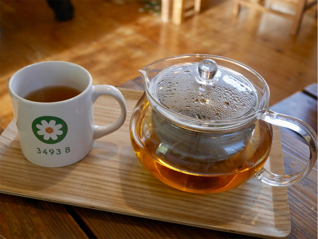 南城市で見つけた、体が喜ぶごはん。沖縄の野草「さし草」を味わう「さし草joy工房&茶屋」（南城市）