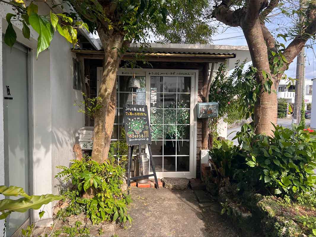 南城市で見つけた、体が喜ぶごはん。沖縄の野草「さし草」を味わう「さし草joy工房&茶屋」（南城市）