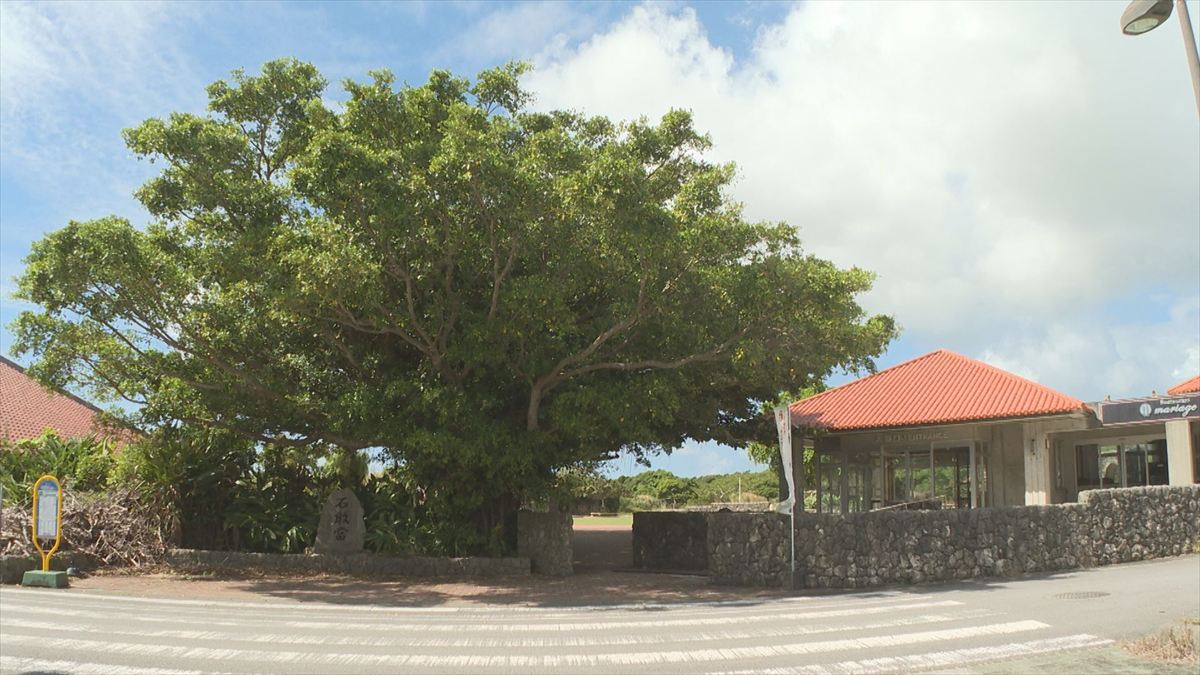 ウィンウィン　2025年12月7日放送