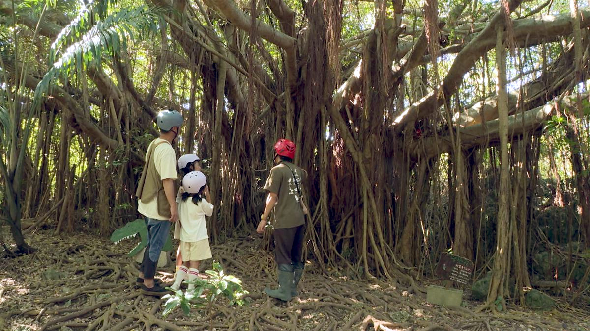 ウィンウィン　2025年12月7日放送