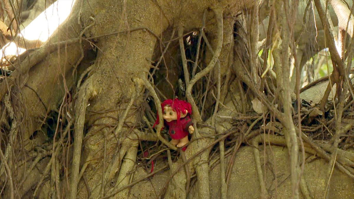 ウィンウィン　2025年12月7日放送