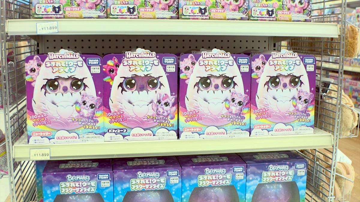 ウィンウィン　2025年12月14日放送