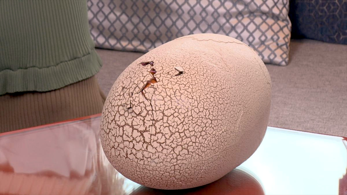 ウィンウィン　2025年12月14日放送