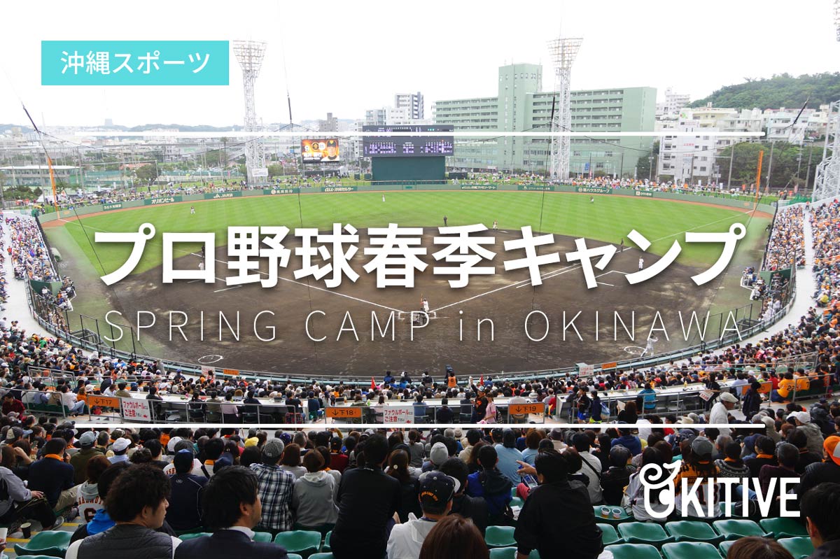『沖縄プロ野球キャンプ』キャンプイン直前情報！2026年の見どころや限定グッズを一挙公開