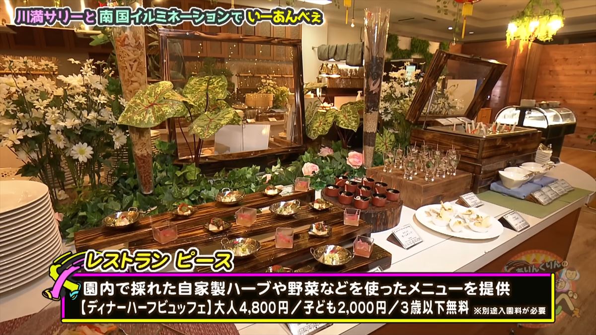 友近が感動！全国１位のイルミネーション東南植物楽園でありんくりん＆じゅん選手と“い～あんべぇ”