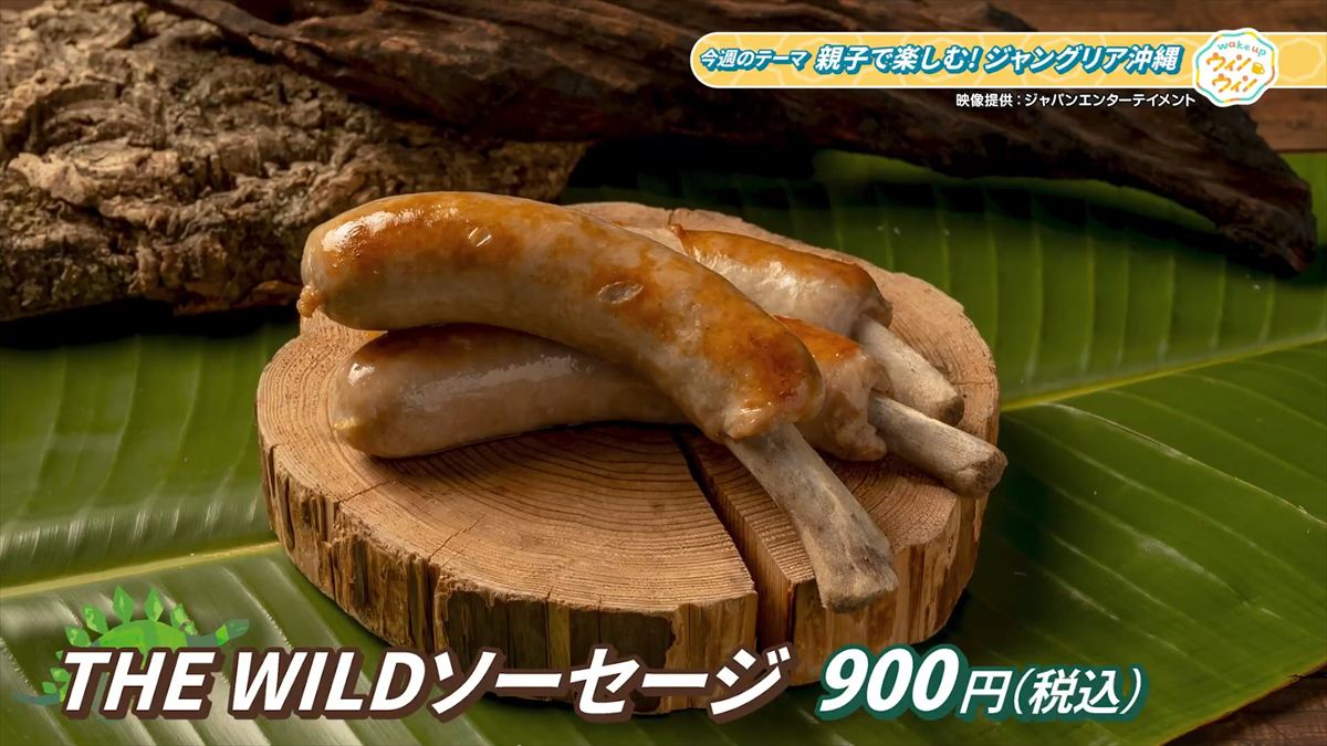 ウィンウィン　2026年1月18日放送