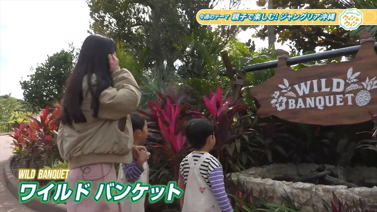 ウィンウィン　2026年1月18日放送