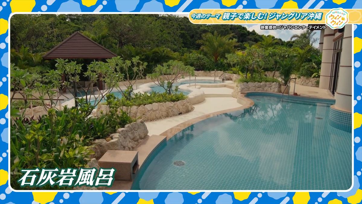 ウィンウィン　2026年1月18日放送