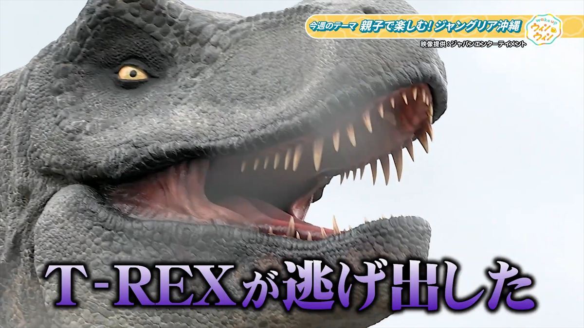 ウィンウィン　2026年1月18日放送