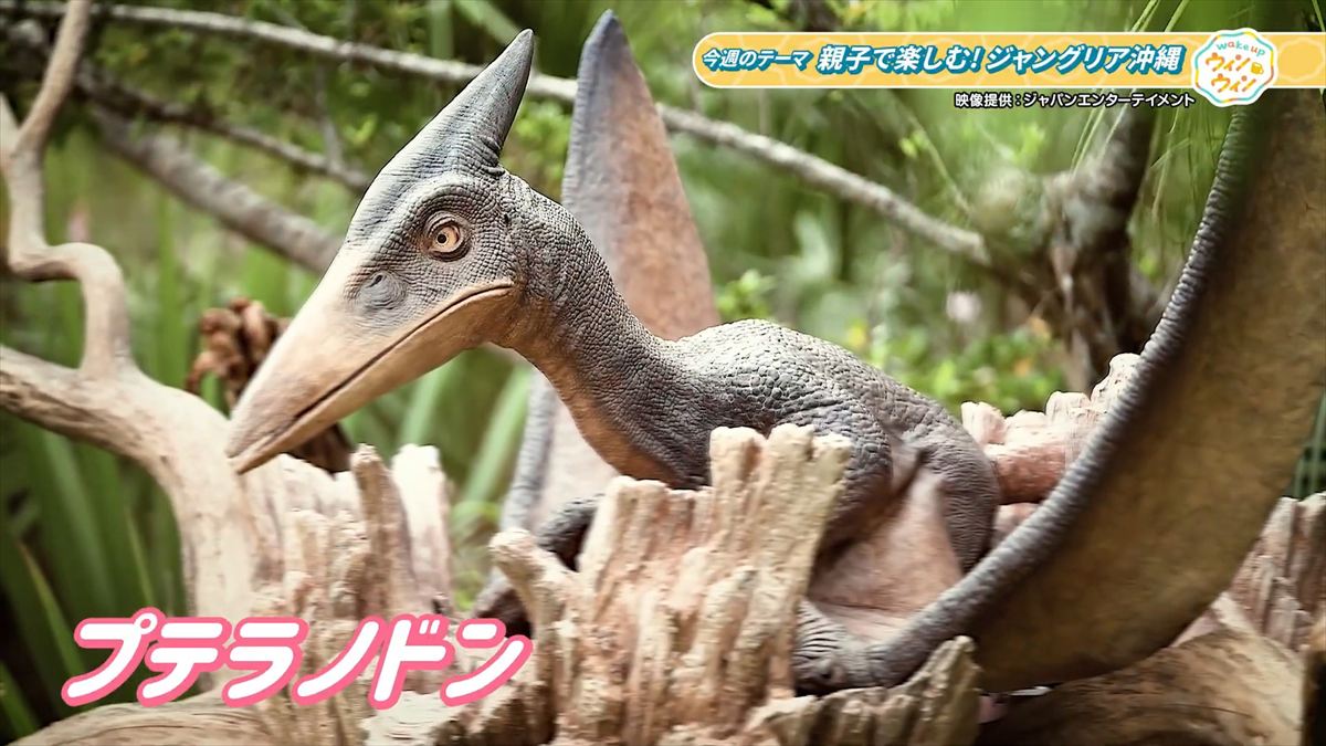 ウィンウィン　2026年1月18日放送