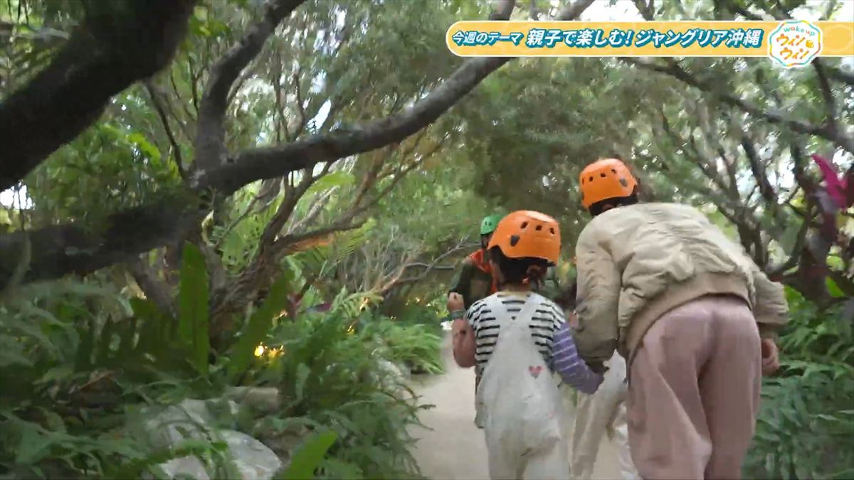 ウィンウィン　2026年1月18日放送