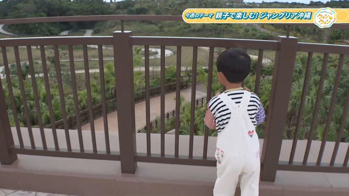 ウィンウィン　2026年1月18日放送