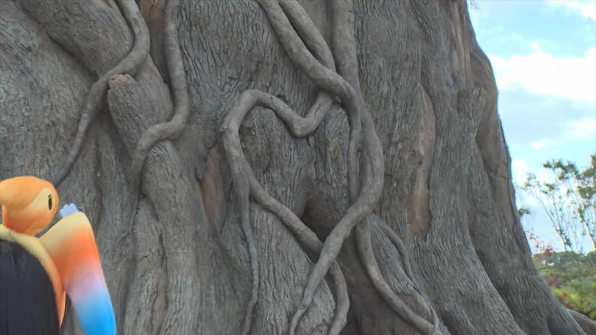 ウィンウィン　2026年1月18日放送