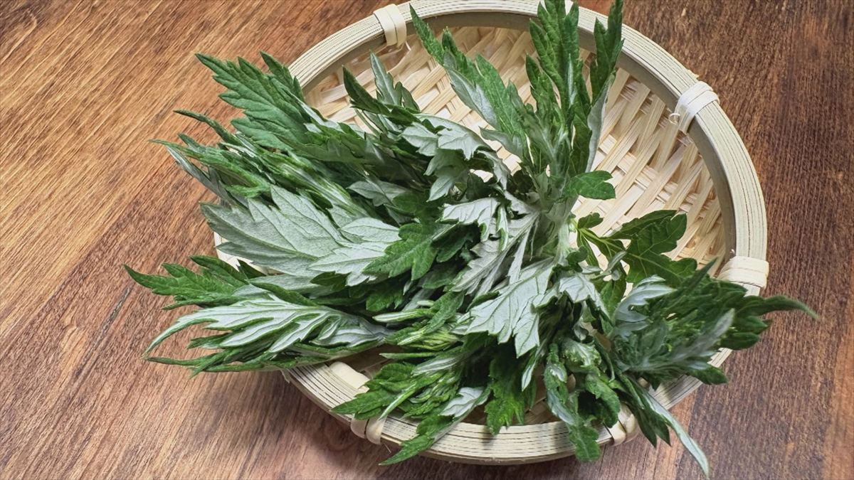 ウィンウィン　2026年1月25日放送