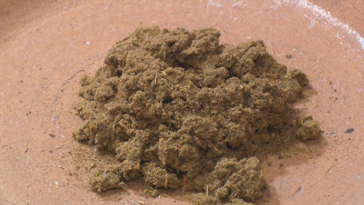 ウィンウィン　2026年1月25日放送