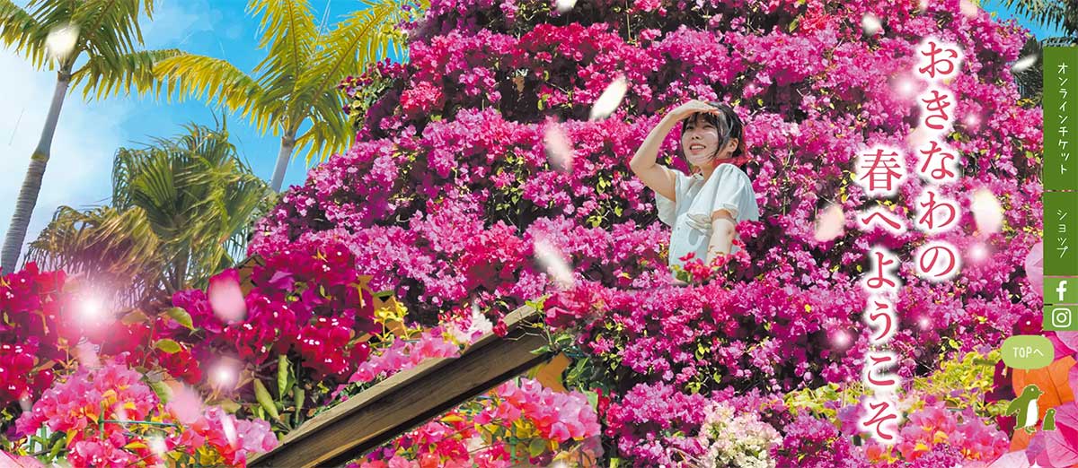 おきなわブーゲンフェア2026＠東南植物楽園