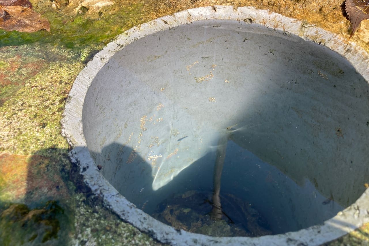 宇地原公園_北谷町