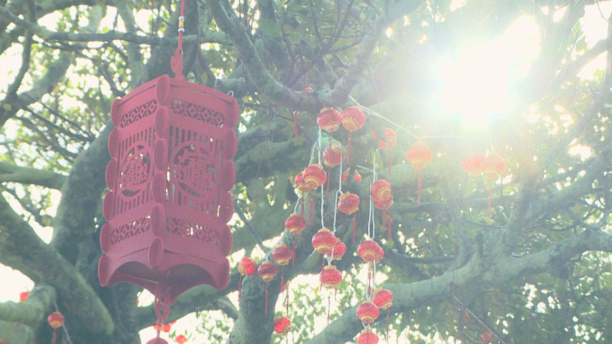 HY SKY Fesまであと1か月　今年は３Daysにパワーアップ！メンバーが魅力語る