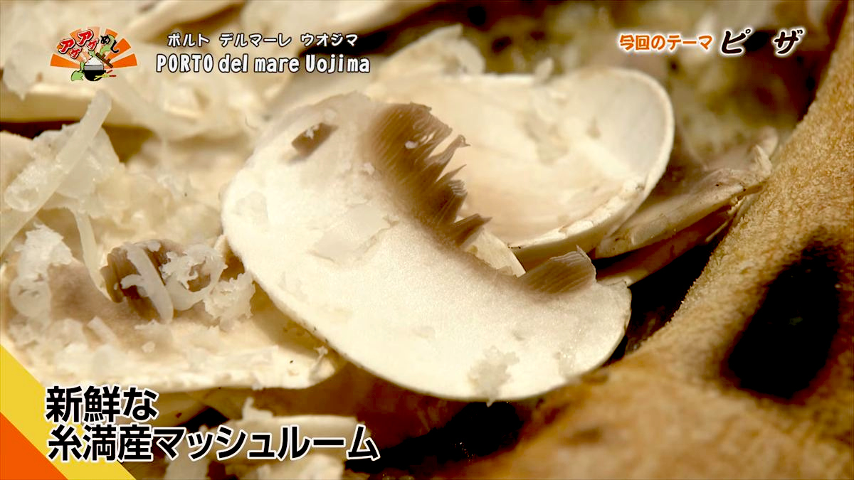 PORTO del mare Uojima （那覇市久茂地）｜OTV アゲアゲめし 2026年2月6日放送