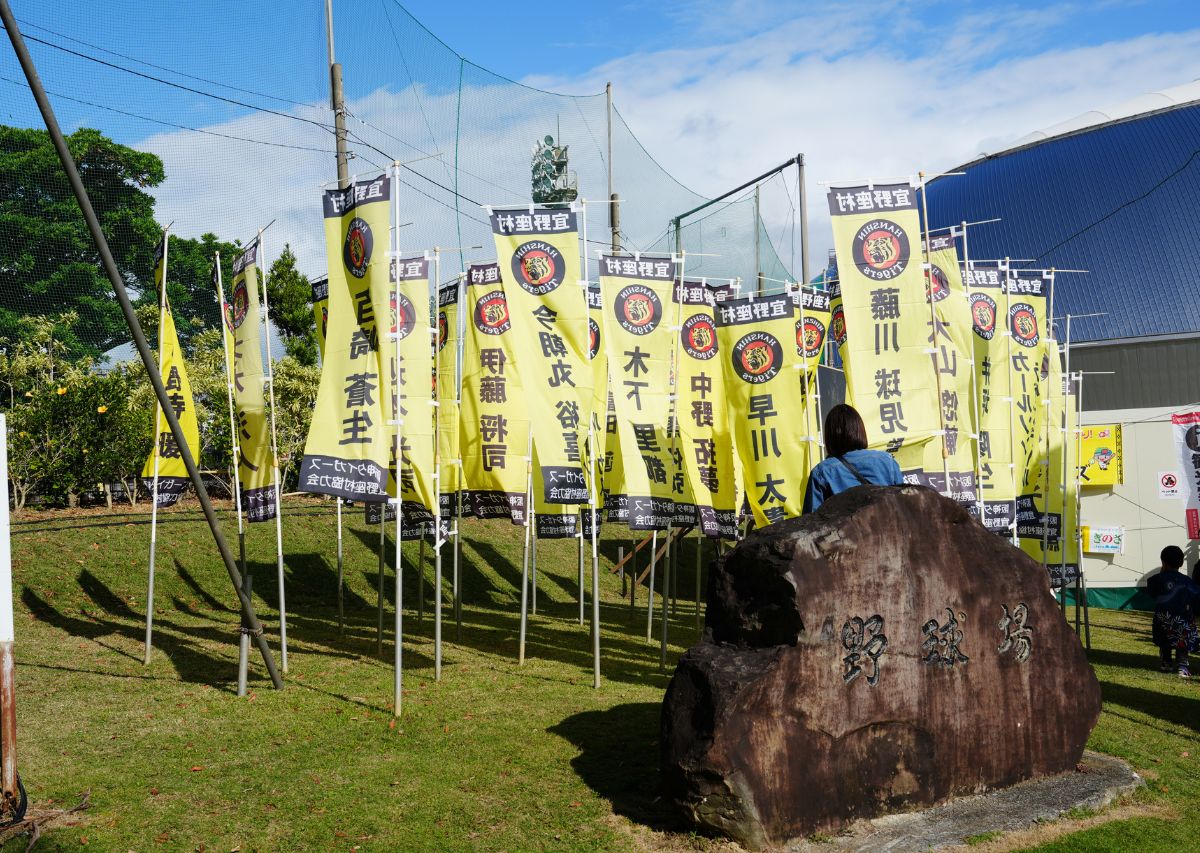 【阪神タイガース】沖縄 宜野座キャンプ2026年の見どころや注目選手は？
