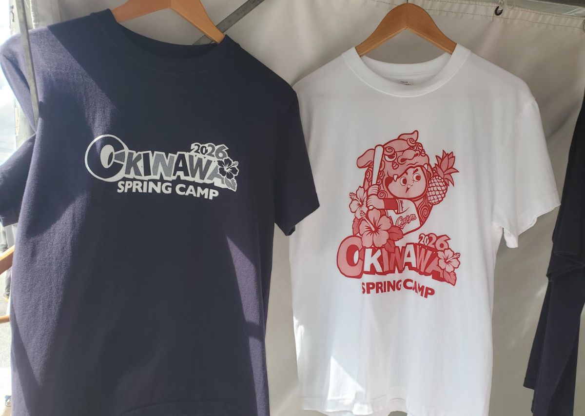 広島東洋カープ コザ 沖縄市キャンプ2026年の見どころや注目選手は？