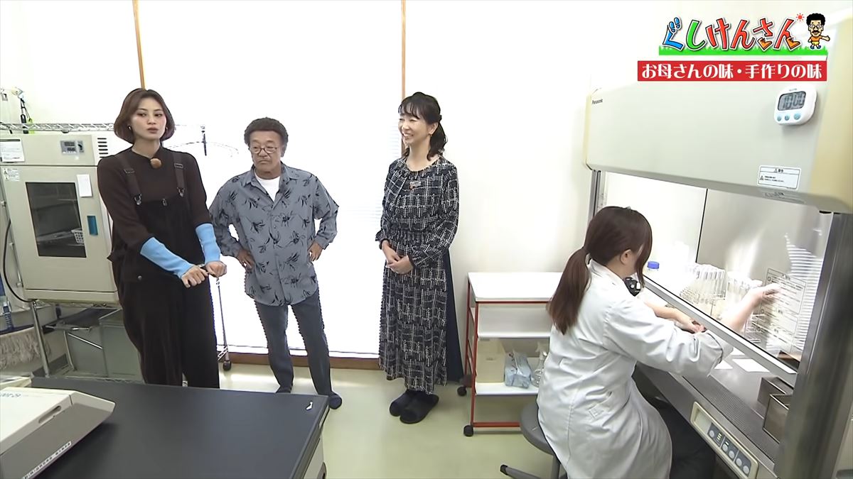 沖縄県民ならみんな知ってる「お母さんの味～手作りの味～」でおなじみの沖縄製粉へ具志堅用高が潜入！サーターアンダギー作りで意外な特技も披露！？【ぐしけんさん】