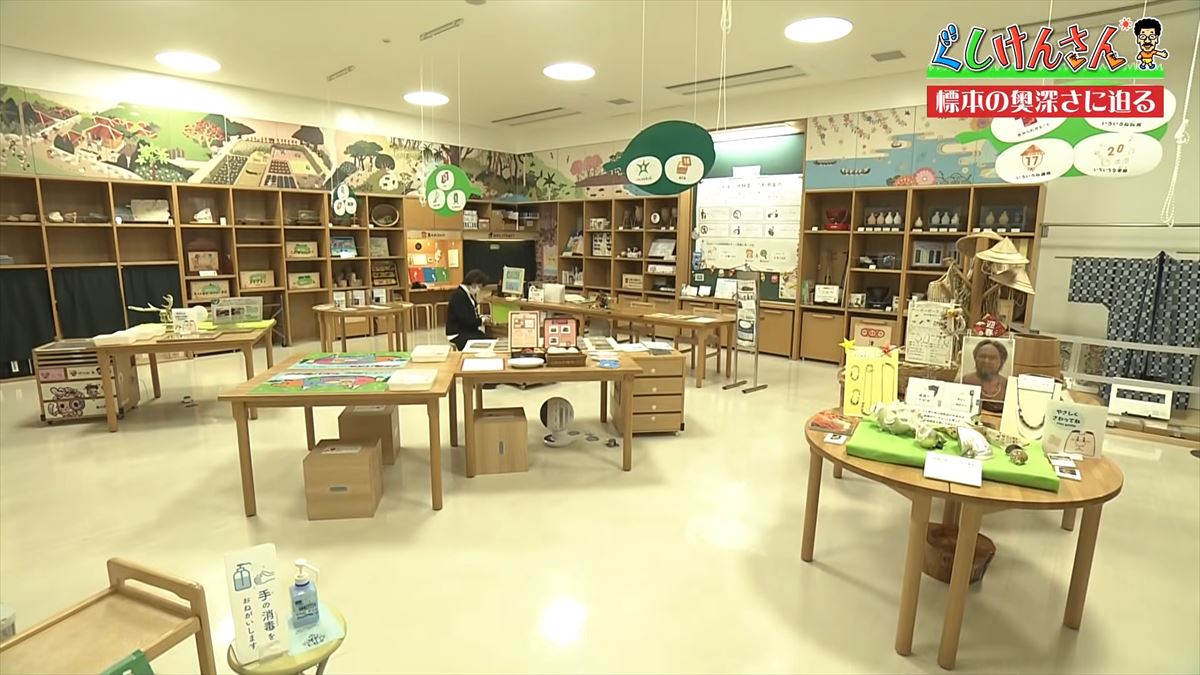 具志堅用高がソーキをホウキを間違えた！？沖縄県立博物館・美術館で標本の奥深い世界に没入【ぐしけんさん】