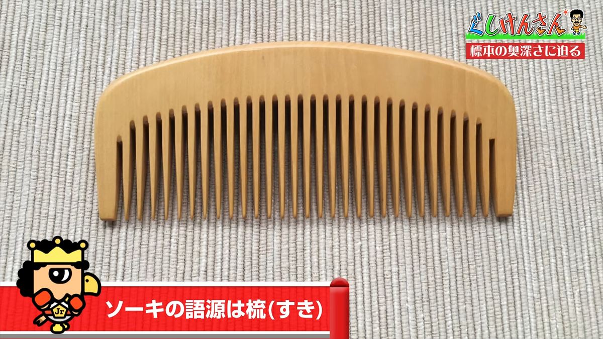 具志堅用高がソーキをホウキを間違えた！？沖縄県立博物館・美術館で標本の奥深い世界に没入【ぐしけんさん】