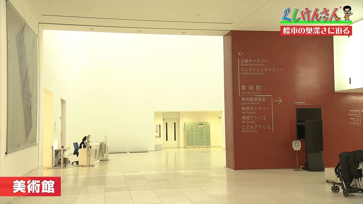 具志堅用高がソーキをホウキを間違えた！？沖縄県立博物館・美術館で標本の奥深い世界に没入【ぐしけんさん】