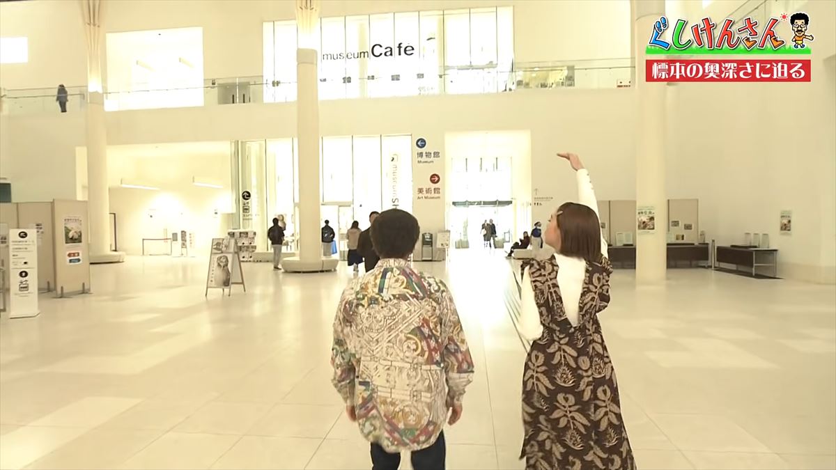 具志堅用高がソーキをホウキを間違えた！？沖縄県立博物館・美術館で標本の奥深い世界に没入【ぐしけんさん】