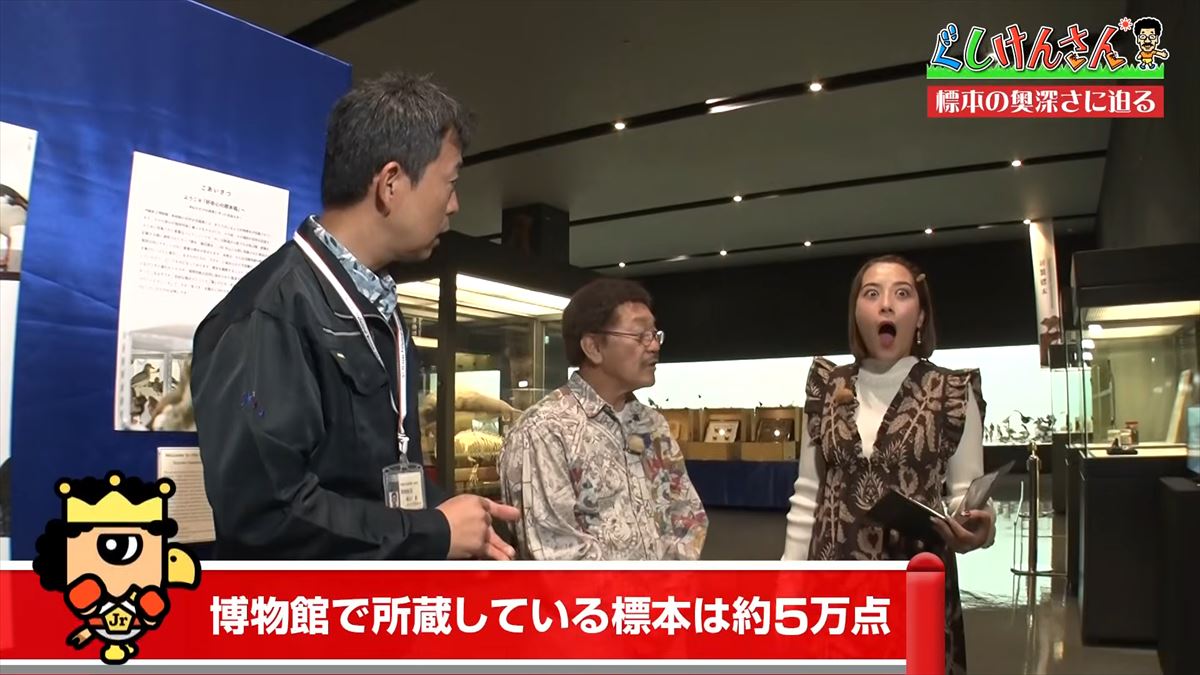 具志堅用高がソーキをホウキを間違えた！？沖縄県立博物館・美術館で標本の奥深い世界に没入【ぐしけんさん】