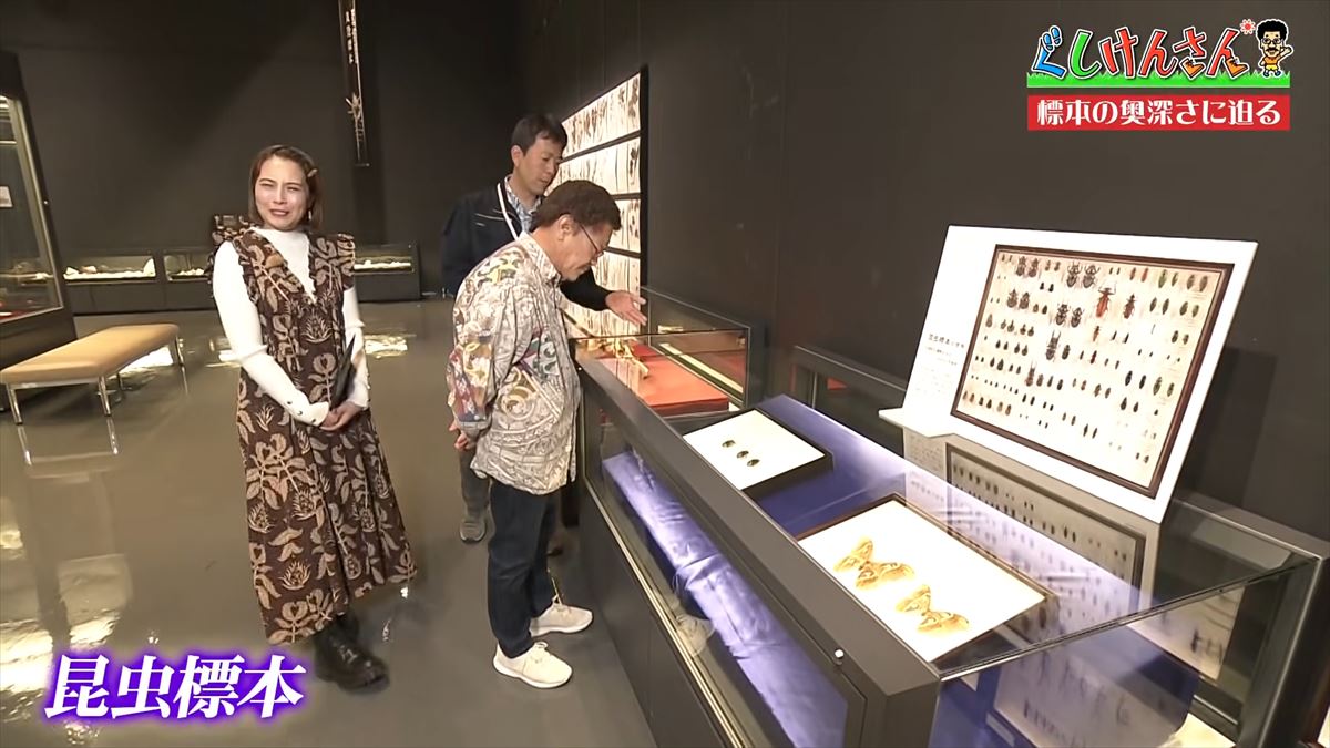 具志堅用高がソーキをホウキを間違えた！？沖縄県立博物館・美術館で標本の奥深い世界に没入【ぐしけんさん】