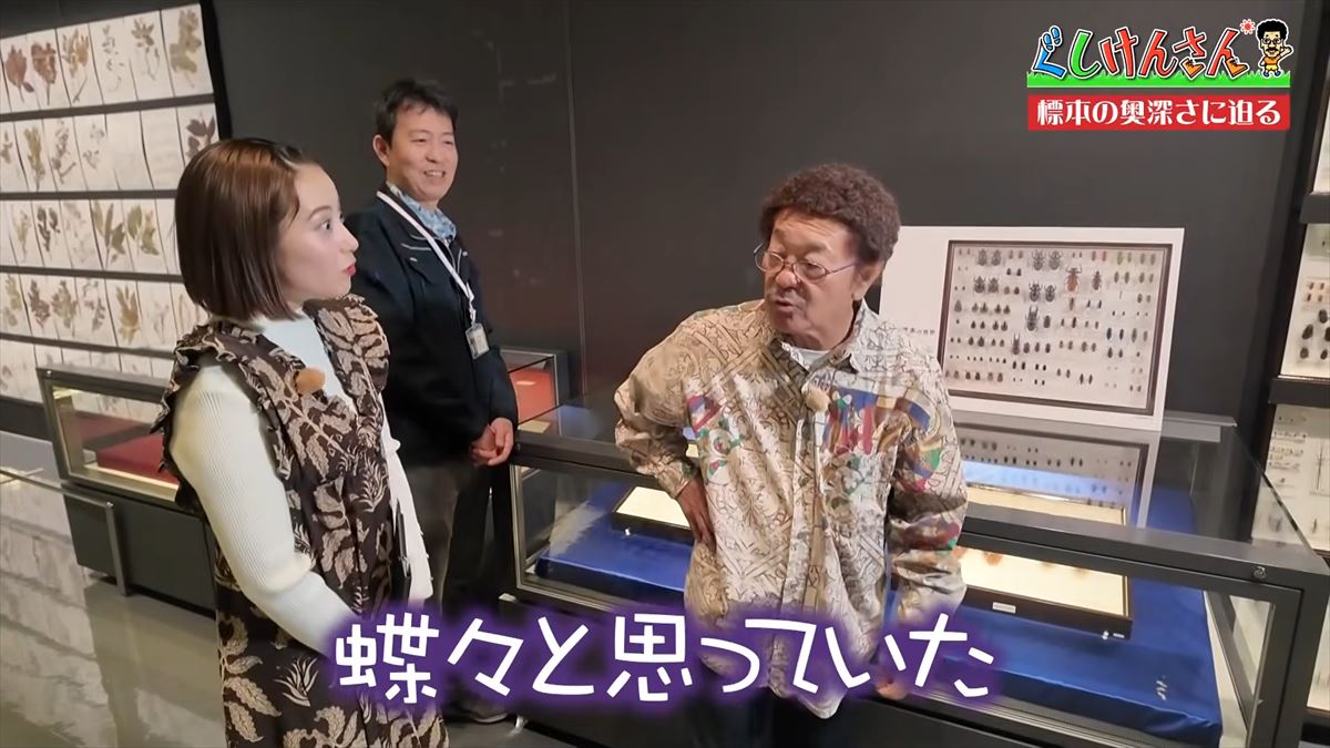 具志堅用高がソーキをホウキを間違えた！？沖縄県立博物館・美術館で標本の奥深い世界に没入【ぐしけんさん】