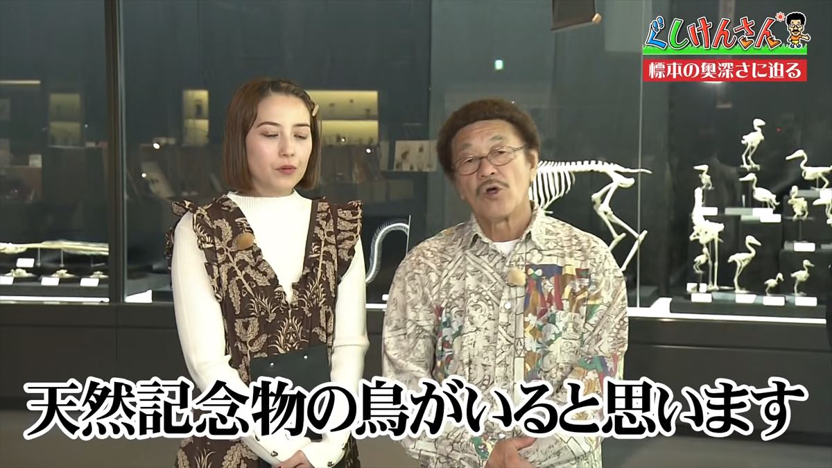 具志堅用高がソーキをホウキを間違えた！？沖縄県立博物館・美術館で標本の奥深い世界に没入【ぐしけんさん】