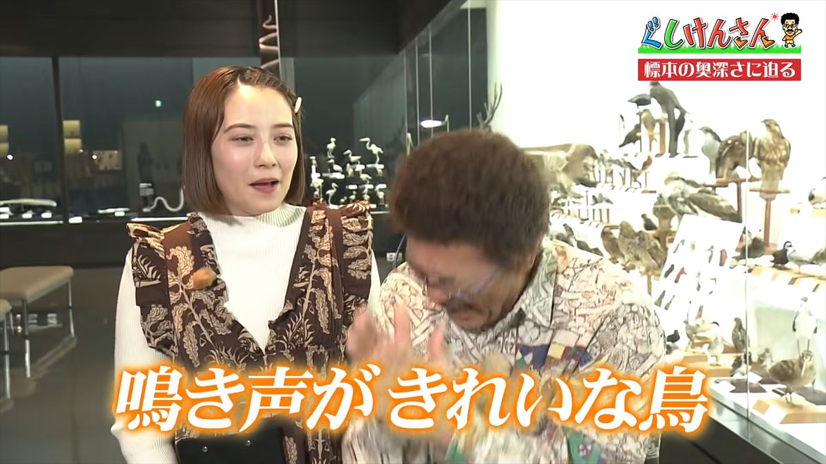 具志堅用高がソーキをホウキを間違えた！？沖縄県立博物館・美術館で標本の奥深い世界に没入【ぐしけんさん】