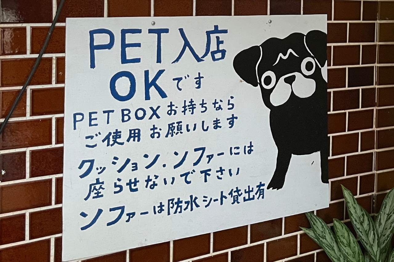 海を望む絶景×沖縄アート！「隠れ家カフェ清ちゃん」で絶品エスニック料理を召し上がれ（浦添市）